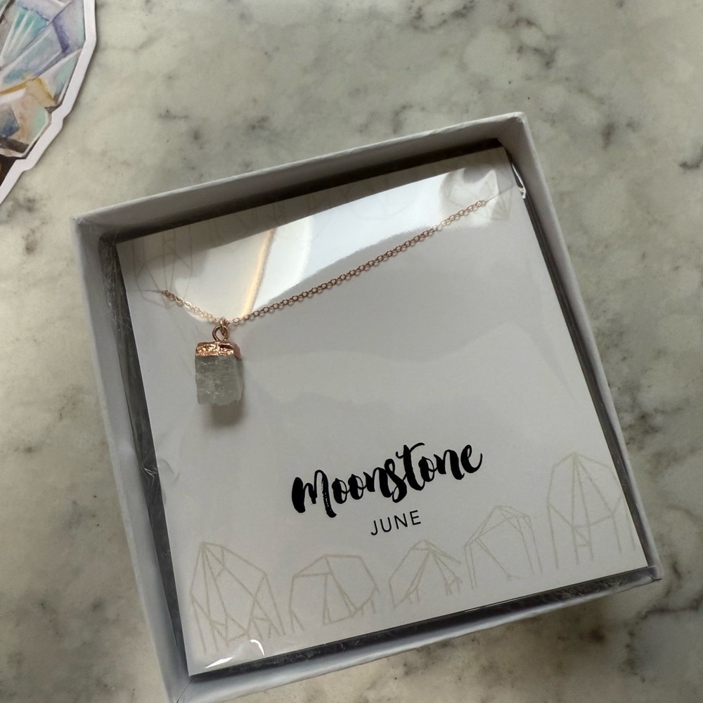 Moonstone Necklace with Rose Gold Chain